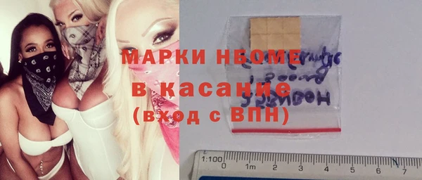 прущие грибы Абинск