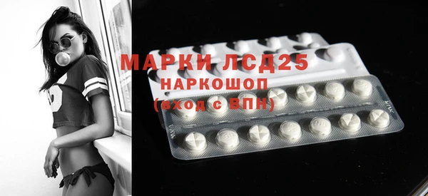 прущие грибы Абинск