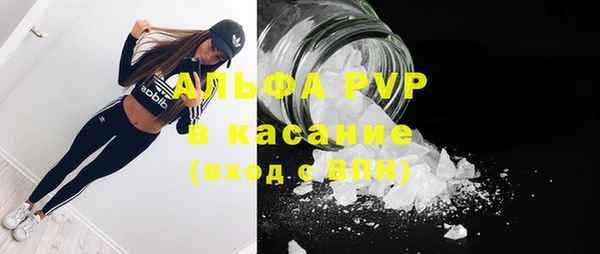 прущие грибы Абинск