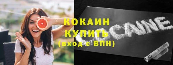 прущие грибы Абинск