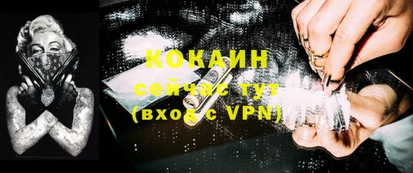 СК Алексин