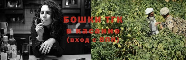 прущие грибы Абинск