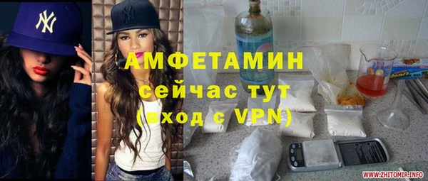 прущие грибы Абинск