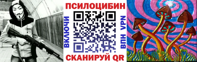 где продают Луга Галлюциногенные грибы мухоморы